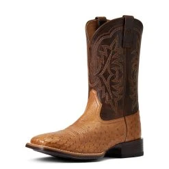 'Ariat' Men's 11" Night Life Ultra Western Square Toe - Ranger Smooth Quill Ostrich / Beam Brown 13 'Ariat' Men's 11" Night Life Ultra Western Square Toe - Ranger Smooth Quill Ostrich / Beam Brown -Ariat Shop S22 MNS WEST 10040345 3 4 front 1024x1024@2x