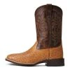'Ariat' Men's 11" Night Life Ultra Western Square Toe - Ranger Smooth Quill Ostrich / Beam Brown 2 'Ariat' Men's 11" Night Life Ultra Western Square Toe - Ranger Smooth Quill Ostrich / Beam Brown -Ariat Shop S22 MNS WEST 10040345 side 1024x1024@2x